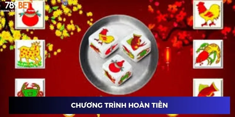 Chương trình hoàn tiền