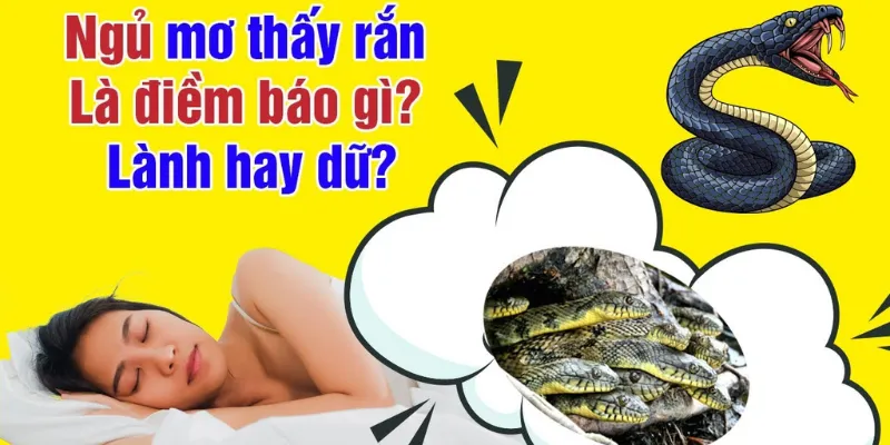 KuBet giải đáp giấc mơ thấy rắn