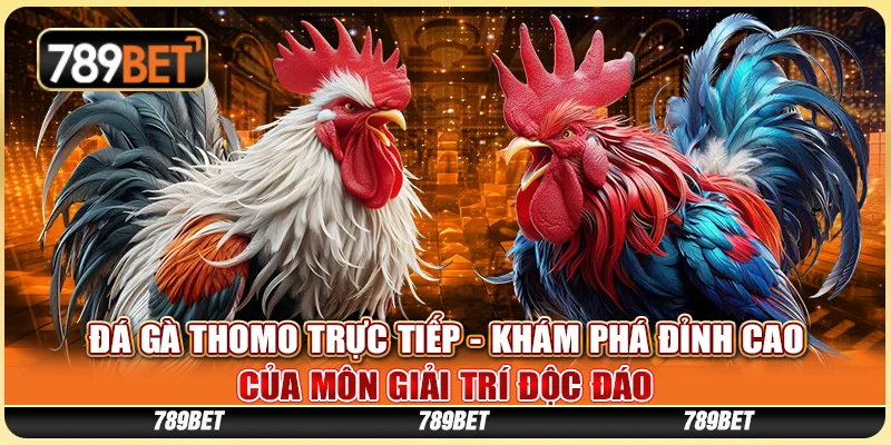 Đá Gà Thomo Trực Tiếp - Khám Phá Đỉnh Cao Của Môn Giải Trí Độc Đáo