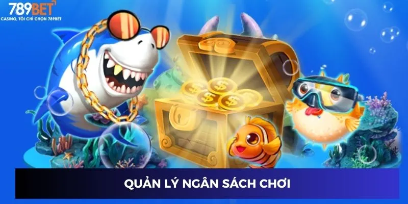 Quản lý ngân sách chơi