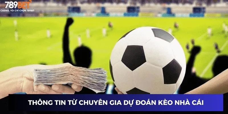 Thông tin từ chuyên gia dự đoán kèo nhà cái