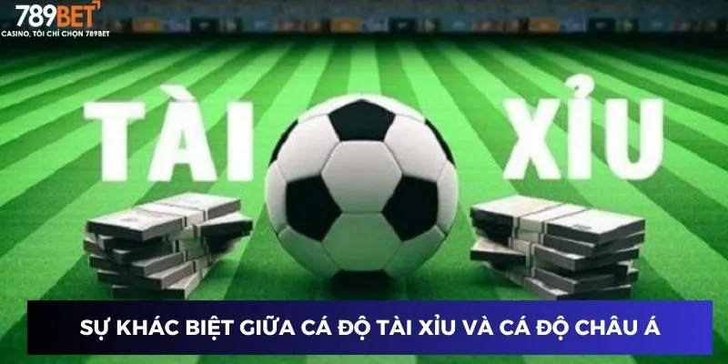 Sự khác biệt giữa cá độ tài xỉu và cá độ châu Á