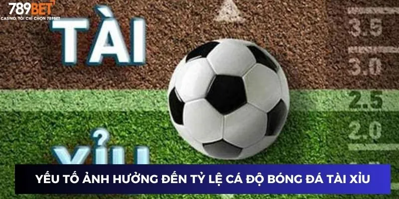 Các yếu tố ảnh hưởng đến tỷ lệ cược cá độ bóng đá tài xỉu