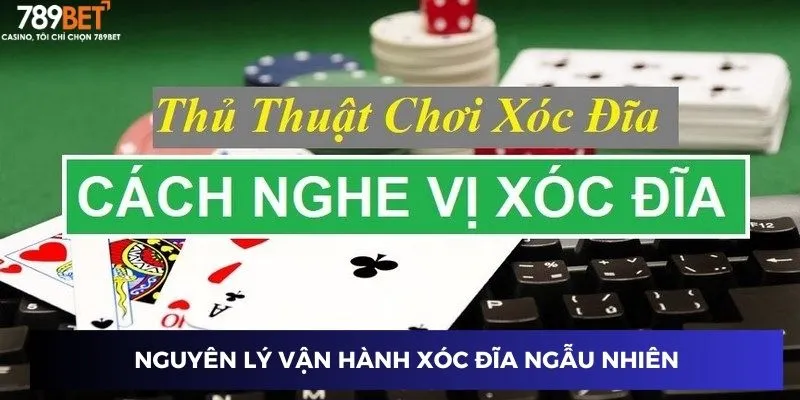 Nguyên lý vận hành xóc đĩa ngẫu nhiên