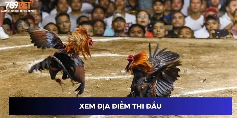 Xem địa điểm thi đấu