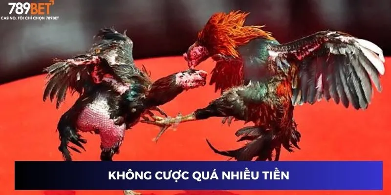 Không cược quá nhiều tiền