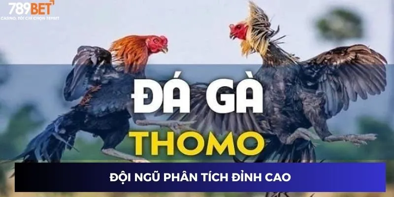 Đội ngũ phân tích đỉnh cao