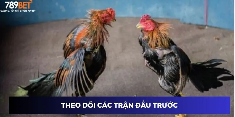 Theo dõi các trận đấu trước