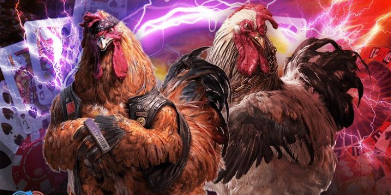 Đá Gà Trên Mạng Hấp Dẫn - Thử Sức Ngay Cùng Hi88 4 Ưu điểm khi tham gia trò chơi tại nhà cái