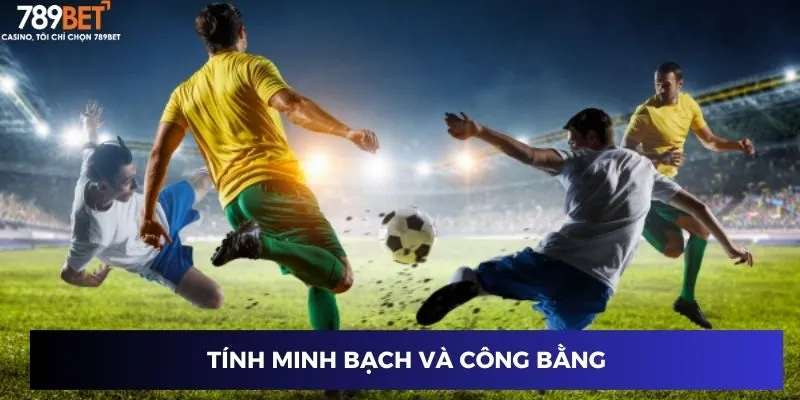 Tính minh bạch và công bằng